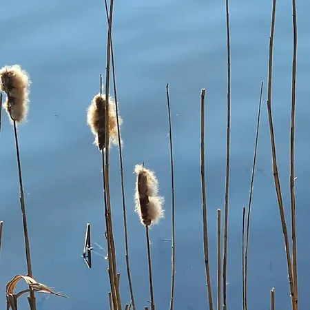 아파트 Seestern In Steinhude, Ruhig Gelegen , 2 Schlafzimmer, 2 Baeder, Freies Wlan 분스토트