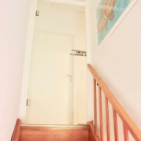 Seestern In Steinhude, Ruhig Gelegen , 2 Schlafzimmer, 2 Baeder, Freies Wlan 公寓 文斯托夫